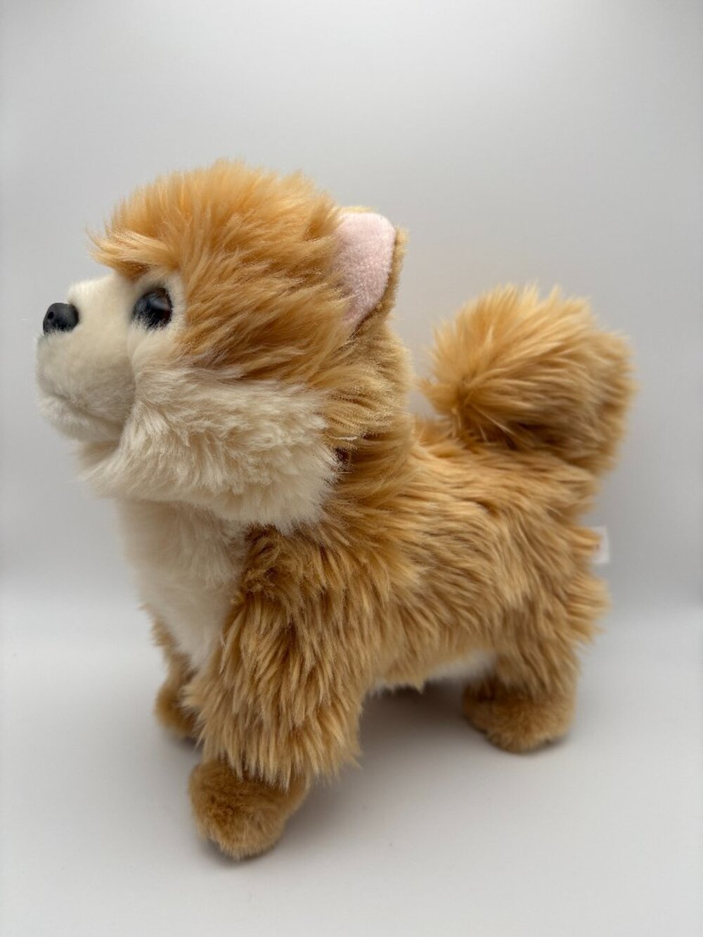 Aurora Pomeranian Puppy Dog Plush Stuffie (SKU: 899TO)